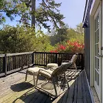 Coastwood