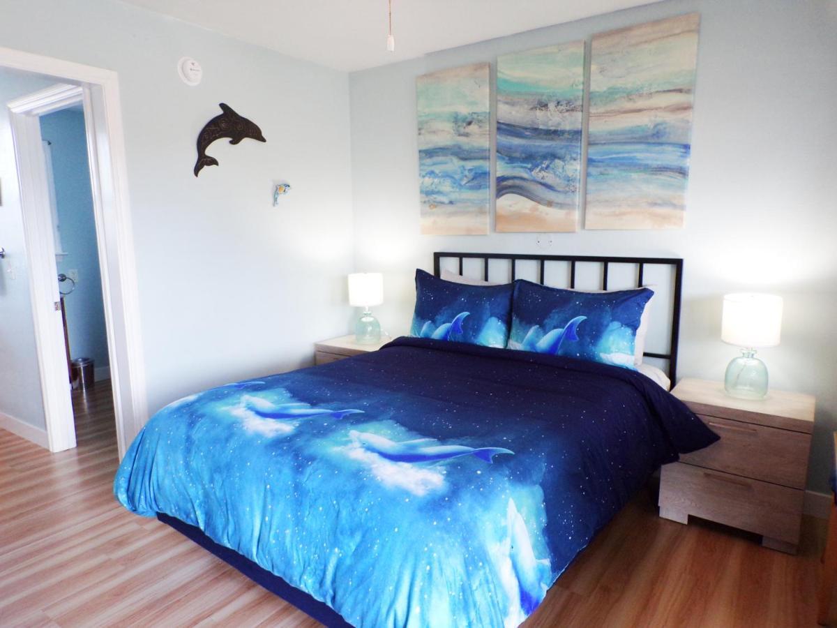 Motel Shoreline 3*