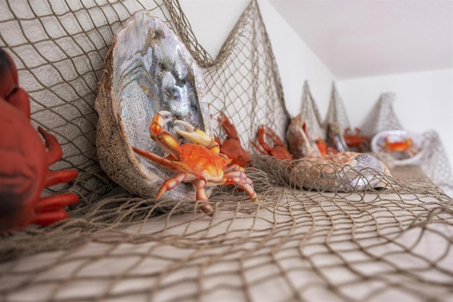 Crab Shack Holiday home *