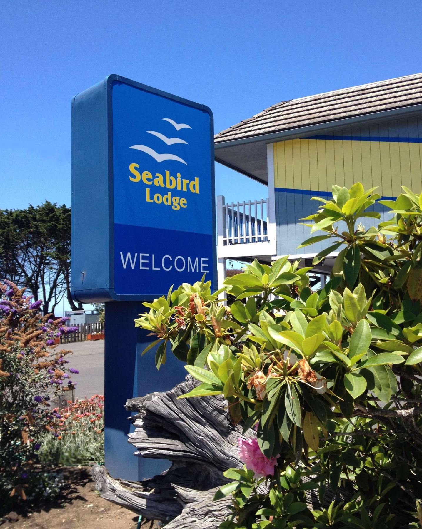 Motel Seabird Bragg