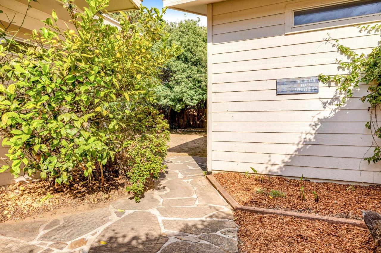 Holiday home Mendocino Dunes - Dollar *