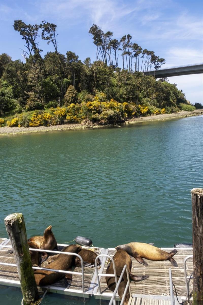 Cowabunga Fort Bragg