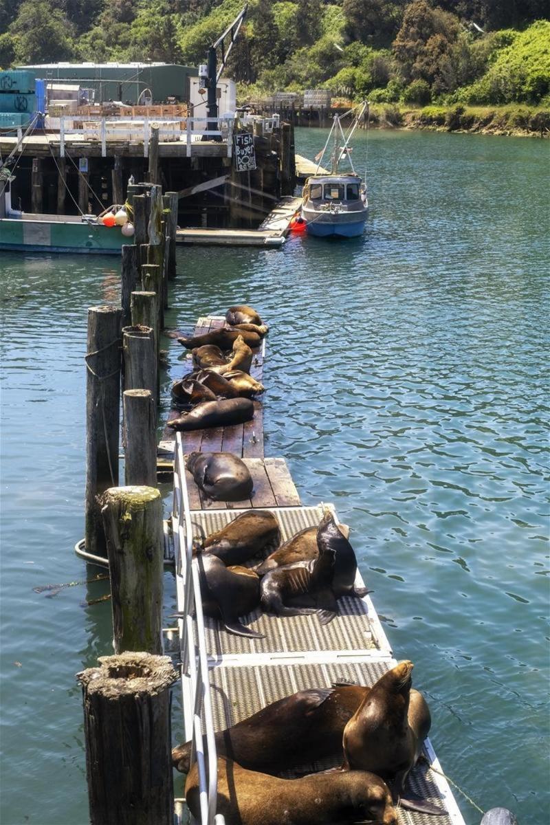 Cowabunga Fort Bragg